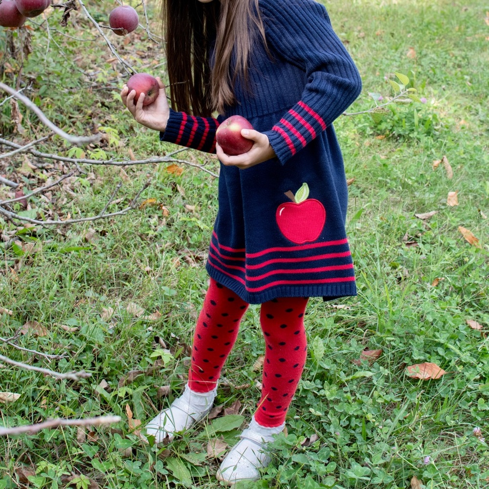 Cynthia Rowley Apple sweater dress size small (5/6)